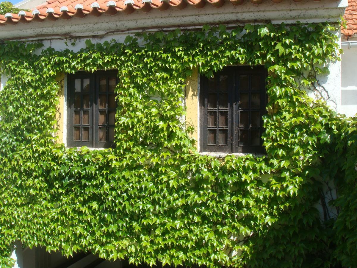 Travelers By Rio Natural Vila Nova de Milfontes Eksteriør billede